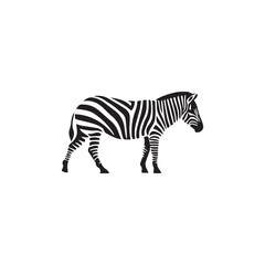 Fototapeta premium zebra vector illustration