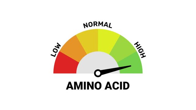 Animated Amino Acid Level Gauge, Amino Acid Nutrition Meter with High, Normal, Low Levels