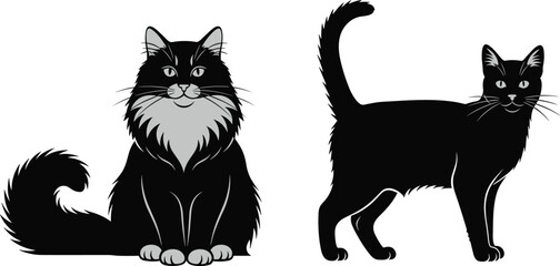 Cat illustrations, black white feline, sitting standing posture, fluffy sleek contrast, pet vector, domestic animal icons, cute alert design