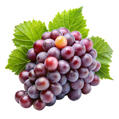 Fototapeta premium Bunch of dark red grapes with green leaves and one orange grape isolated on black bunch of grapes fruit