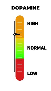 Dopamine Level Vertical Gauge Animation Low, Normal, High Indicator Scale for Brain Chemistry and Mental Health Visualization