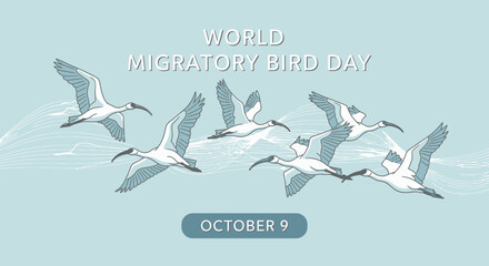 Fototapeta premium World Migratory Bird Day Flock of Ibis Birds in Flight October 9