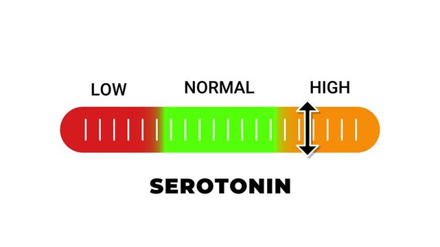 Serotonin Level Bar Animation Low, Normal, High Indicator Scale