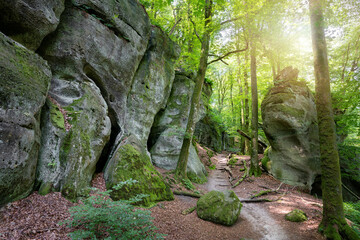 Mullerthal during summer season, Luxembourg
