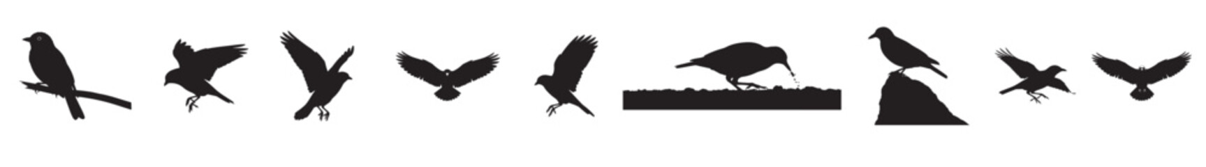 Birds silhouette, flying, flock, freedom, nature, environment, sky, migration, abstract, isolated vector set, travel, wings, wildlife, graceful flight