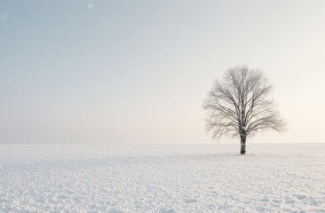 Lonely tree in snowy winter landscape under soft sky