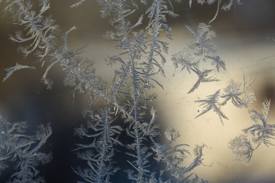 Frost on the window 