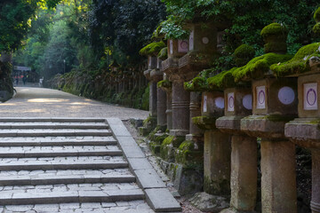奈良県にある世界遺産 春日大社の参道