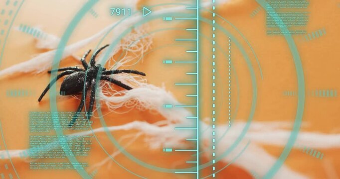 Macro camera opening on spider perching on fibrous strands while HUD scanning and measuring motion
