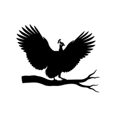 Peacock silhouette with wings spread on a branch isolated on white background