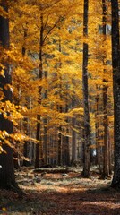 Obraz premium Vibrant autumn forest with golden leaves glowing