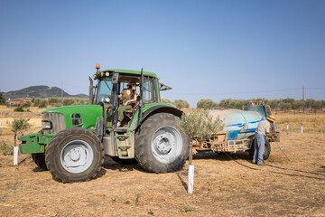 Senior man and asian woman irrigating olive trees
