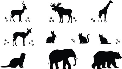animal, silhouette, paw print, wildlife, nature, bear, elephant, deer, rabbit, cat, moose, giraffe, antelope, otter, vector, black, white, track, profile, mammal