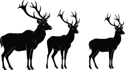 Deer silhouette vector, wildlife illustration, three antlered deer in row, black animal shapes, forest nature art, isolated on white background