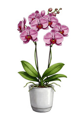 Isolated Gouache Illustration of a Fresh Green Leaf with Water Droplets png alpha channel isolated on transparent background