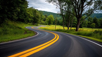 Winding Asphalt Road Through Lush Green Landscape, Scenic Drive on a Cloudy Day