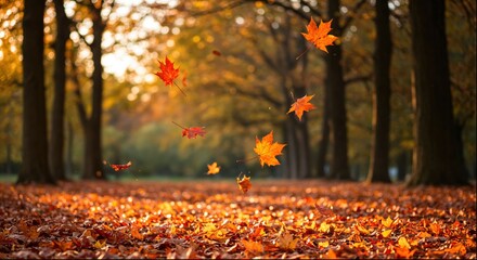 Autumn leaves falling in a sunlit forest.