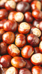 Obraz premium A screen full of chestnuts