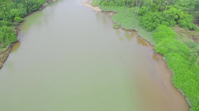 Aerial drone shot panning up reveal from green water of backwater to coconut trees and crashing waves at Kovalam beach bekal kerala under monsoon clouds showing the peace and tranquillity of Kerala