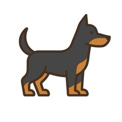 Dobermann vector illustration of a dog