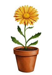 Obraz premium Isolated Hand-Drawn Snowflake Icon - Elegant Winter Design Element png alpha channel isolated on transparent background