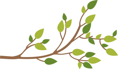 Tree Branch with Leaves 