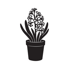  Elegant Potted Hyacinth Flower silhouette on white background.