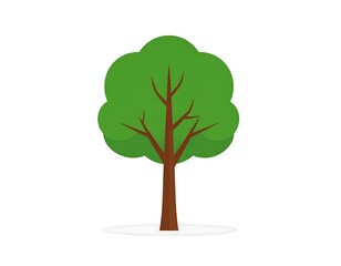 A stylized, full-view illustration of a vibrant green tree, featuring a simple, rounded canopy and a brown, sturdy trunk, set against a plain white background.