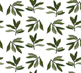 Organic Leaf Pattern. Olive branch leaves seamless pattern. Vector graphic line ink colored illustration. Flourish Nature Summer Garden. Tropical Green Ornament.