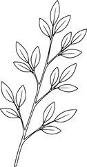 "Hand Drawn Botanical Twigs & Leaves Bundle &ndash; Black and White Vector Set"