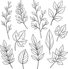 "Hand Drawn Botanical Twigs & Leaves Bundle – Black and White Vector Set"