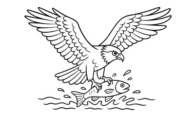 Obraz premium Osprey fishing scene sketch with simplistic line art for nature and wildlife design projects