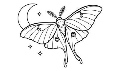 Mystical luna moth with crescent moon and stars design for art or print
