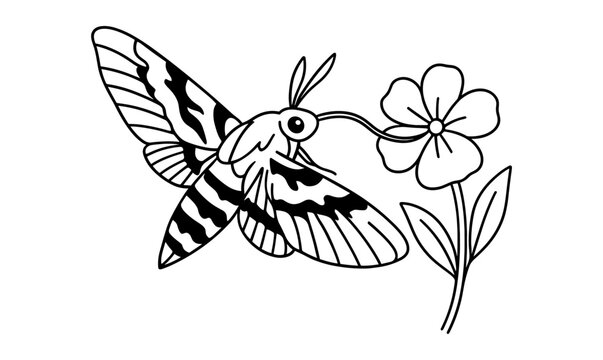 black and white moth feeding flower clip art preview