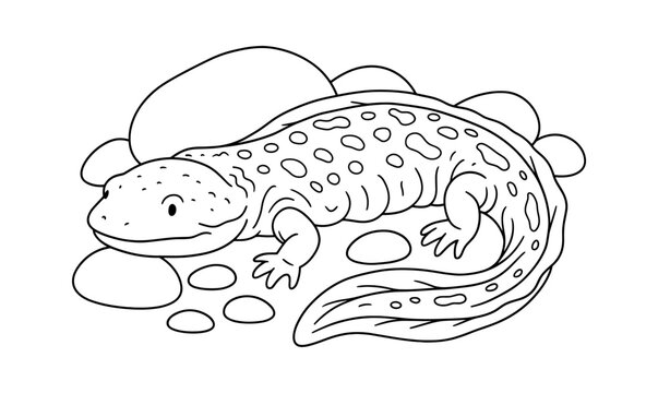 Hellbender salamander under stones composition for wildlife illustration and educational designs