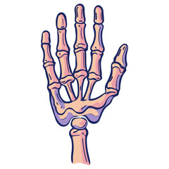 skeleton hand, costume, halloween, festival, vector, transparent background, decoration, hand, isolated, skeleton, bones, mannequin, model, figurine, medical, x-ray, bone, icon