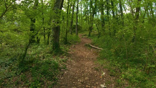 Woman hiking downhill on a narrow forest path in slow motion