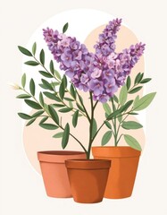 Elegant botanical drawing of vibrant purple flowering plants in clay pots, isolated on a light background