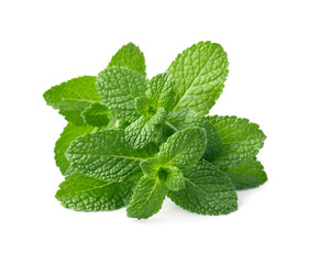 Fresh mint leaves