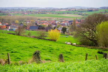 View to the rural landscape in Wallonie, Belgium