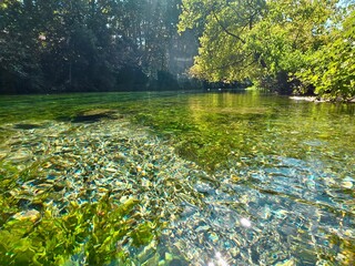 Vibrant Nature at La Fontaine-de-Vaucluse – Lush Landscape and Emerald Waters in Provence, France.