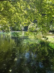 Vibrant Nature at La Fontaine-de-Vaucluse &ndash; Lush Landscape and Emerald Waters in Provence, France.