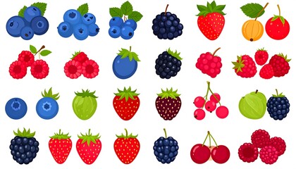 Colorful illustration showcasing various types of berries, including blueberries, raspberries, strawberries, blackberries, currants, and cherries, presented in a vibrant and appetizing design.