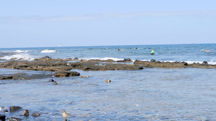 A Beautifully Serene Beach Scene Featuring Surfers Who Are Enjoying the Rolling Waves