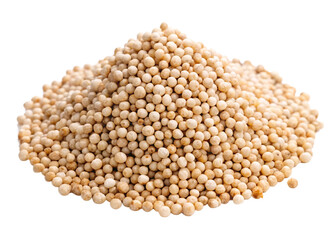 Fototapeta premium Sorghum seeds (white) isolated on white background