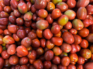 Freshly Harvested Red Tomatoes for Cooking and Health