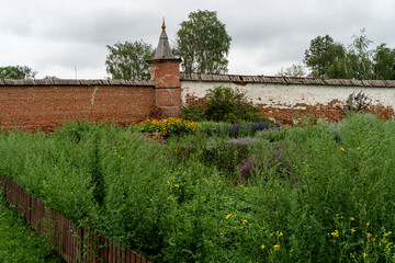 Herbs against the background of the old brick wall of the monastery. Apothecary Garden. High quality photo