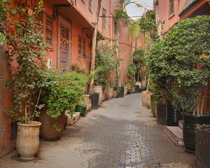 Fototapeta premium Narrow paved street with pot plants in The medina of Marrakesh, Morrocco.