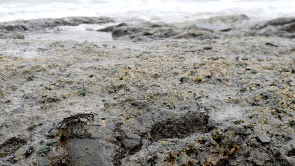 A Wet Coastal Shoreline Featuring Rocks and Enveloping Sea Spray, Ideal for Exploration