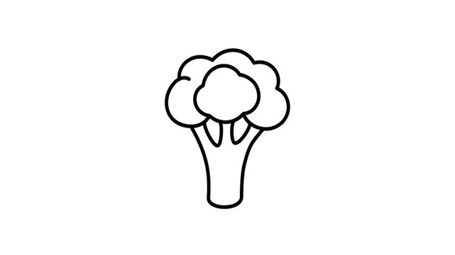Animated outline of fresh broccoli with smooth motion and clean lines. Great for healthy eating, organic food, vegan concepts, nutrition themes, and explainer or educational videos.